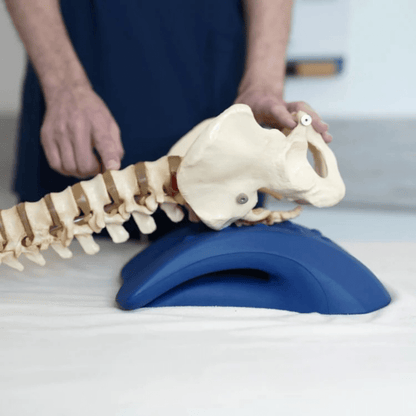 Vivenity™ SpineStretch
